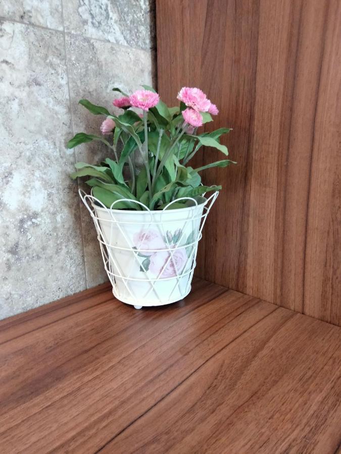 Apartament De Lux Cu Terasa Apartment Timisoara Luaran gambar